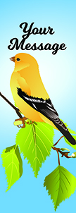 ZOW 1011 Goldfinch