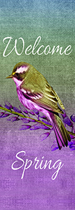 ZOW 1019 Sparrow on Branch