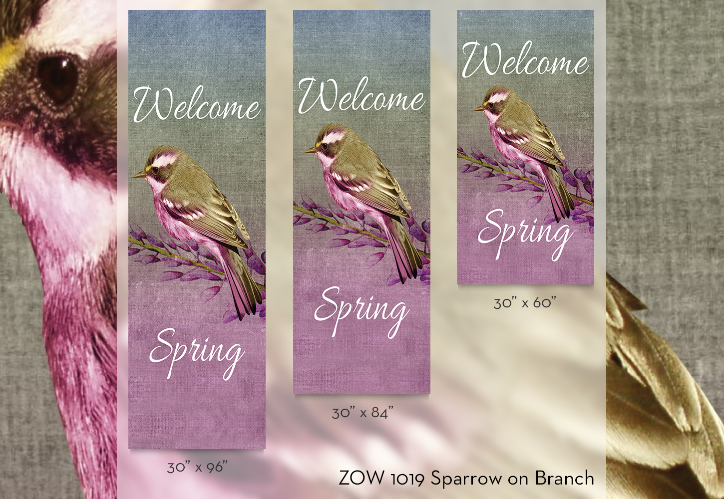 ZOW 1019 Sparrow on Branch ZOW 1019 Sparrow on Branch