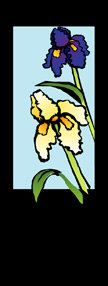 zow 305JR Iris