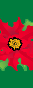 zow 409JR Poinsettia