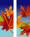 ZOW 502FW Fall Leaves on Blue Background