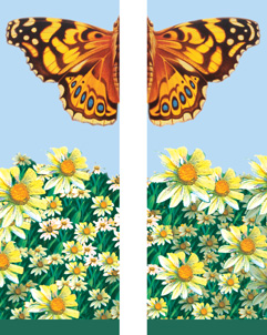 zow 502SS Butterfly & Daisies