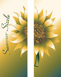 ZOW 611 Summer Sizzle Sunflower