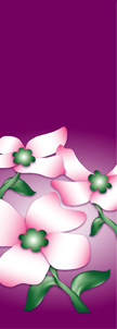 zow 613 Dogwood Flowers on Purple Background