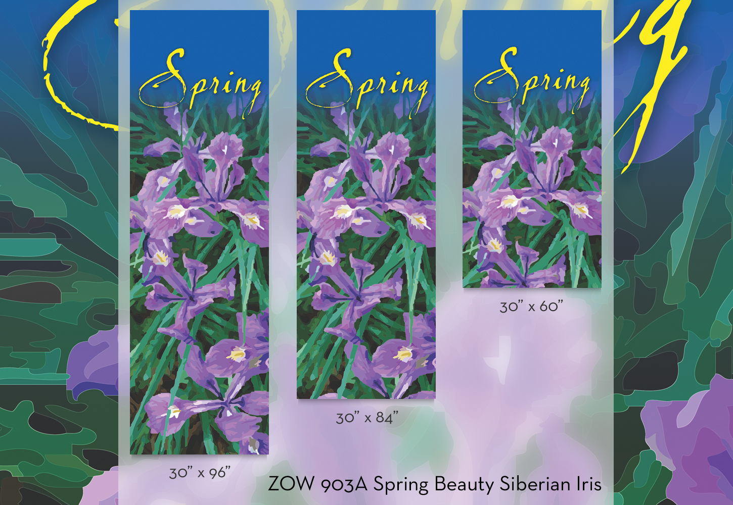 ZOW 903A Spring Beauty Siberian Iris