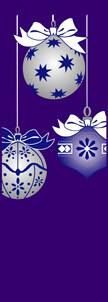 ZOW 911P Blue & Silver Ornaments