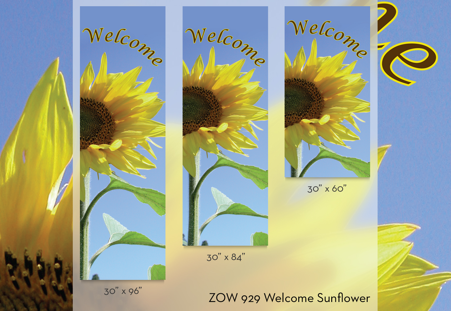 ZOW 929 Welcome Sunflower