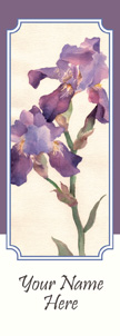 ZOW 951 Watercolor Iris