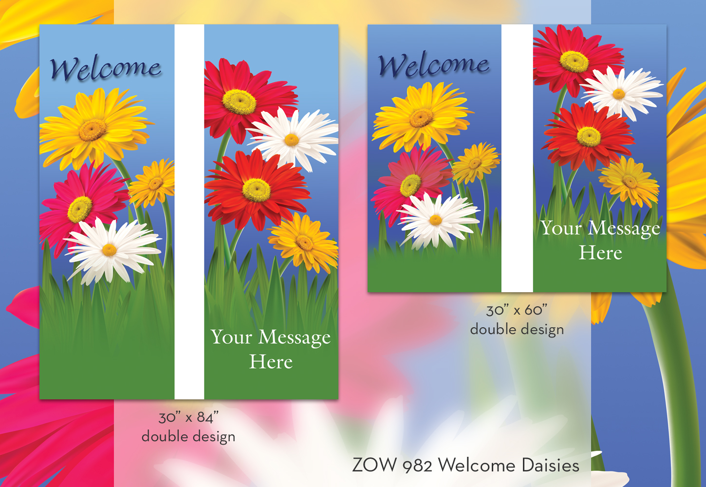 ZOW 982 Welcome Daisies ZOW 982 Welcome Daisies